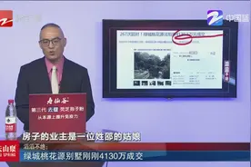 绿城桃花源别墅刚刚4130万成交