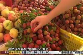 7岁男孩因为吃荔枝导致死亡，家长要警惕“荔枝病”！视频封面