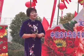 河南坠子《回龙传》总是听不够这段经典坠子戏图片