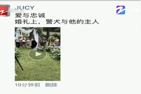 主播朋友圈：婚礼上，警犬与他的主人视频封面