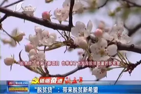 砥砺奋进的五年：“脱贫贷”——带来脱贫新希望视频封面