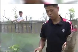 #暴富 新姿势❓90后小伙养鳄鱼:每天徒手抓百条，已赚800平小楼视频封面