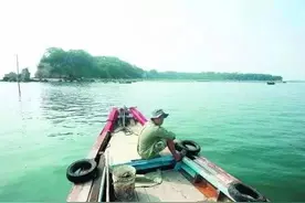 悦享生活 | 一个厦门农民在荒岛上种了27年树，被无数人视为傻瓜，现在成了世外桃源图片