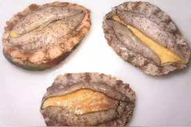 9种海鲜常吃防癌抗癌你都知道吗？图片