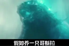 养一只哥斯拉要花多少钱？真是一算吓一跳！#哥斯拉2怪兽之王 #哥斯拉