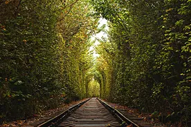 你做过哪些梦？这些梦分别有哪些含义？图片