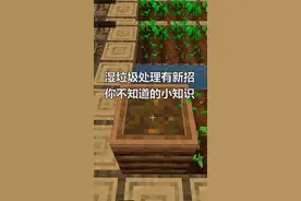 #我的世界 处理湿垃圾又有新方法啦！你还知道那些MC里的小诀窍呢？@抖音游戏
