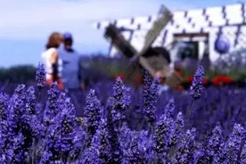 让１２生肖一生好运的部首与用字图片