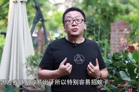 我用着这几种方法后，花园里的蚊子真的变少了 #vlog日常 视频封面
