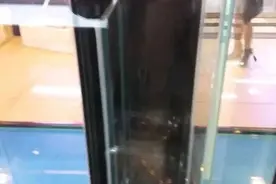 知识丨调试底滤海缸的循环系统图片