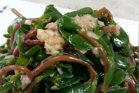 农村这野菜，改善血管壁弹性，是心血管疾病克星！视频封面