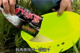 徐清华老师教你这样子配饵让你狂钓鲢鳙