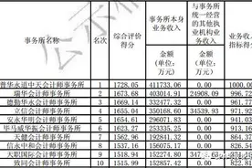 中国十大会计师事务所排行榜图片