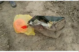 北岛小镇Foxton惊现一个爆炸物图片