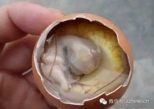 ݾʮڡÿڶ۽磡