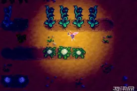 《星露谷Stardew Valley》初期技巧心得一览图片