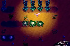 《星露谷Stardew Valley》初期技巧心得一览图片