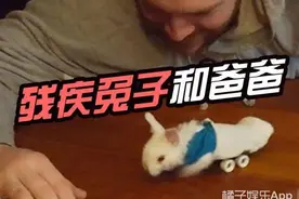 当一只残疾兔子遇见一个暖男老爸，这画面太暖图片
