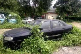 车辆长时间停放，危害有多大？图片