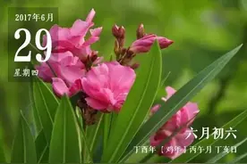 继“爱心面”后，常州掀起“爱心杨梅”热潮图片