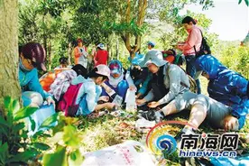 高高的“松鼠学堂”：自然教育是好玩的正经事图片