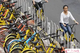 广州共享单车日出行超400万人次 三成投在天河图片