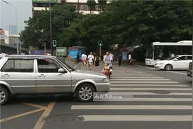 视频丨成都交警发起随手拍 斑马线车不让人可拍照举报图片