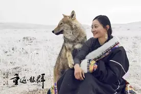 《重返·狼群》返回自然和本性世界的鲜活影像故事｜名家图片