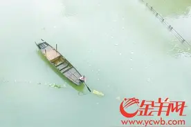 西江1号洪水来势汹汹 20年一遇洪峰明早过肇庆图片