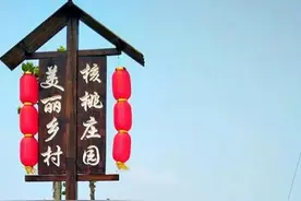 永年有个“核桃村” 乾隆皇帝御笔亲封“龙珠核桃”图片