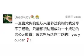 怀孕的狗妈妈原来需要注意这么多！图片