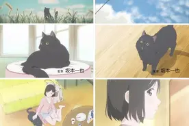 一个人和一只猫的生活 短篇动画「她和她的猫」PV公开图片