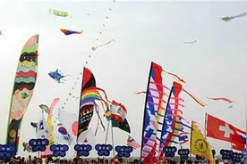 3月12日去世博园看风筝赏梅花图片