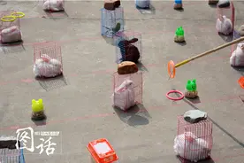 四川一公园套圈游戏套小动物 小朋友不忍下手图片