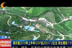 2019四川省上半年GDP同比增长7.9%，稳中有进，好于年初目标视频封面