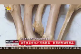 严查！长沙海关查获南非穿山甲鳞片和虎骨等濒危动物制品视频封面