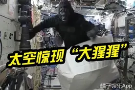 空间站惊现“大猩猩”，宇航员都被吓跑了！图片