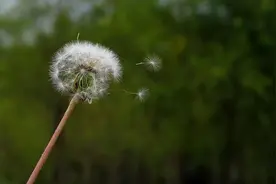 留学的你，还记得跨出国门第一天的感受么？图片