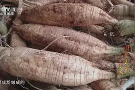 葛根既能升阳、益胃气，还对慢性腹泻有作用，快来了解一下吧视频封面