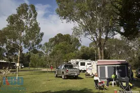 “出境自驾游”成风潮 去年租车市场超131亿图片
