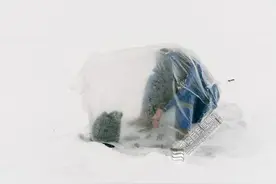 渔民裹塑料袋雪中垂钓 藏身其中全神贯注似在冥想图片