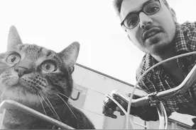 法国猫咪陪主人骑行千里 共享旅途风景.图片