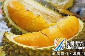 女子安检口吃光十斤榴莲致流鼻血 上演现实版人在囧途图片