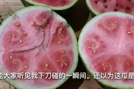 为什么现在的西瓜质量没有以前好？不是不熟，就是不甜，什么原因视频封面