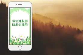 微信删除的好友怎么找回？简单又实用