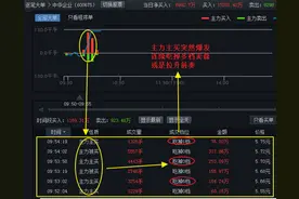 逐笔雷达监控主力大单实时成交记录图片