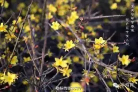 一个月后，西安各大高校将会变成这样！快来看看！图片