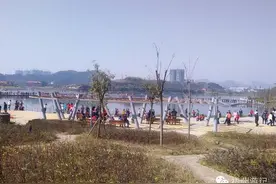 大年初一，梧州玫瑰湖怎么啦？图片