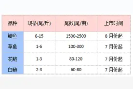 三四月份养殖池塘管理方案图片