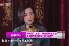王琳参加节目，包包被导演弄丢了，强忍崩溃没有骂人视频封面
